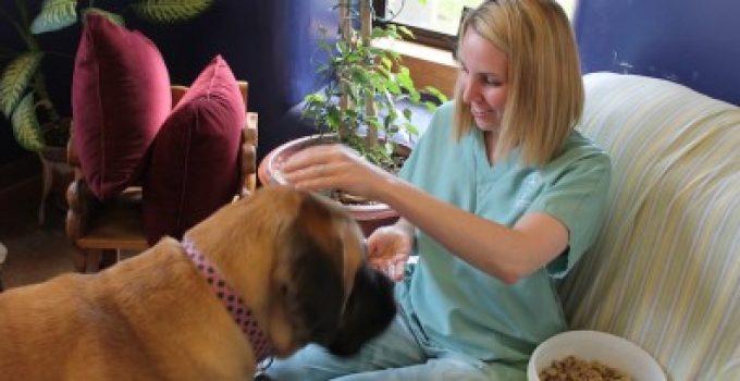 Veterinarian-Lenexa-KS